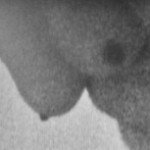 Profielfoto van Alice